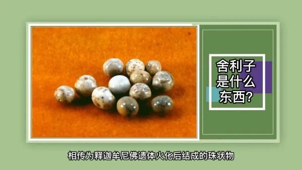 舍利子是什么东西?