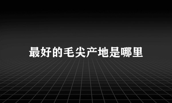 最好的毛尖产地是哪里