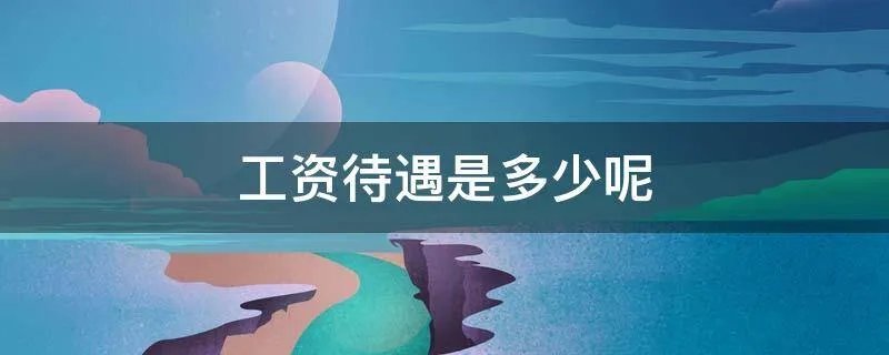 工资待遇是多少呢
