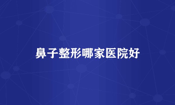 鼻子整形哪家医院好