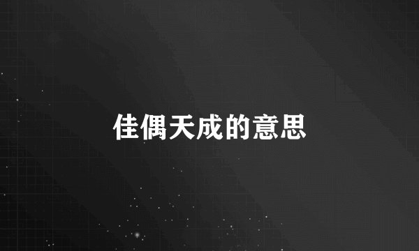 佳偶天成的意思