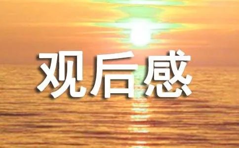 寻找最美孝心观后感