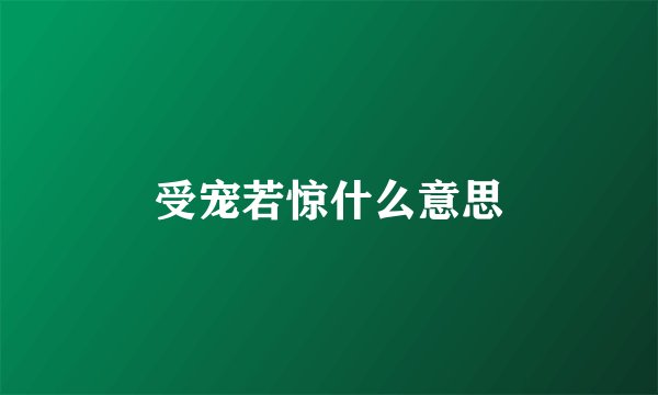 受宠若惊什么意思