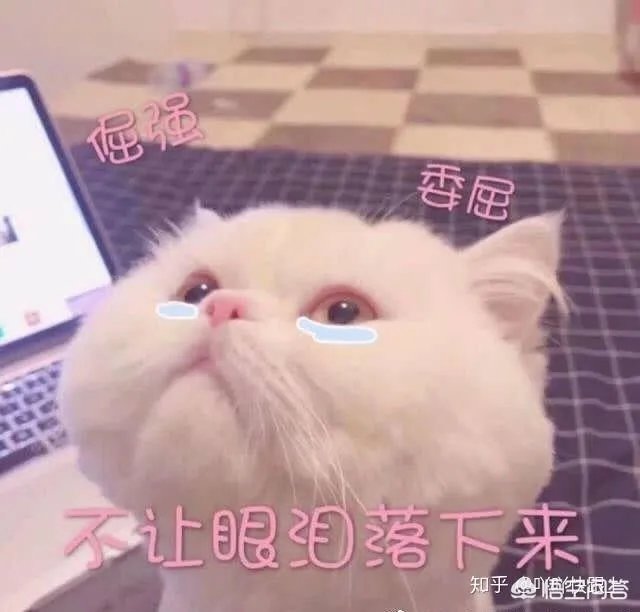 南宁找工作