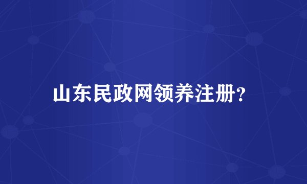 山东民政网领养注册?