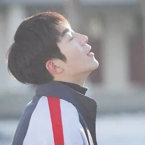 什么是莲文化