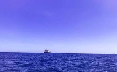 大海的作文