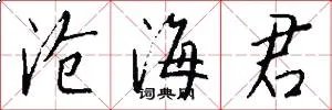 沧海君