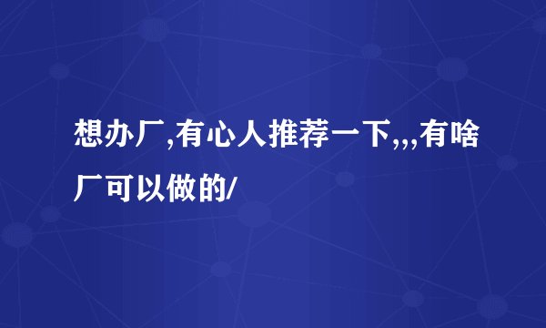 想办厂,有心人推荐一下,,,有啥厂可以做的/