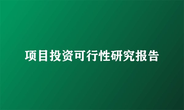 项目投资可行性研究报告