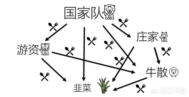 游资是如何炒股的?
