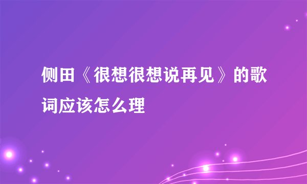 侧田《很想很想说再见》的歌词应该怎么理