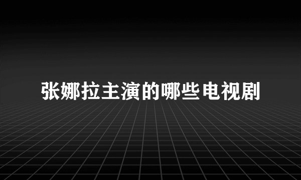 张娜拉主演的哪些电视剧