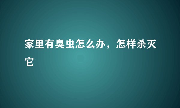家里有臭虫怎么办，怎样杀灭它