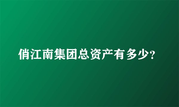 俏江南集团总资产有多少？