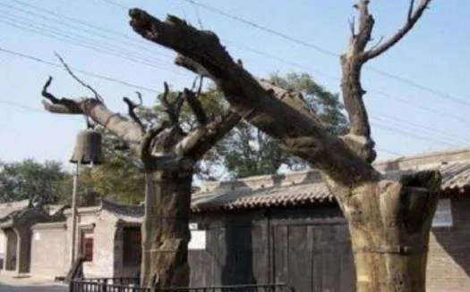 保定景区,十大排名是怎样得?