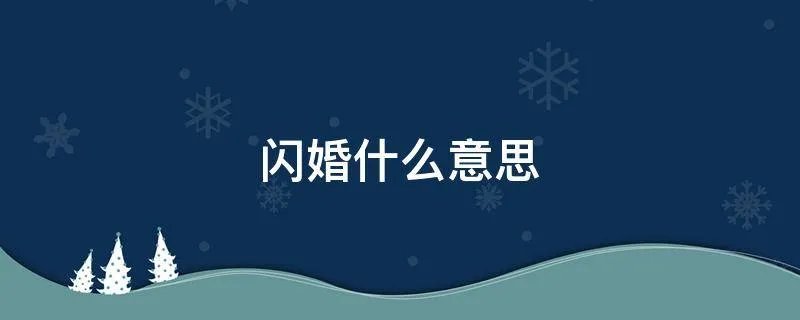闪婚什么意思