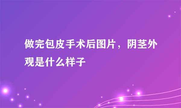 做完包皮手术后图片，阴茎外观是什么样子