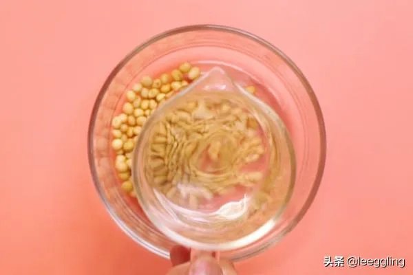 豆奶怎么做？