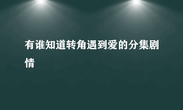 有谁知道转角遇到爱的分集剧情