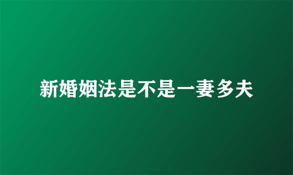 新婚姻法是不是一妻多夫