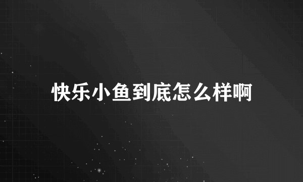 快乐小鱼到底怎么样啊