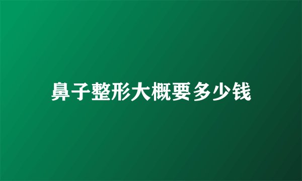 鼻子整形大概要多少钱