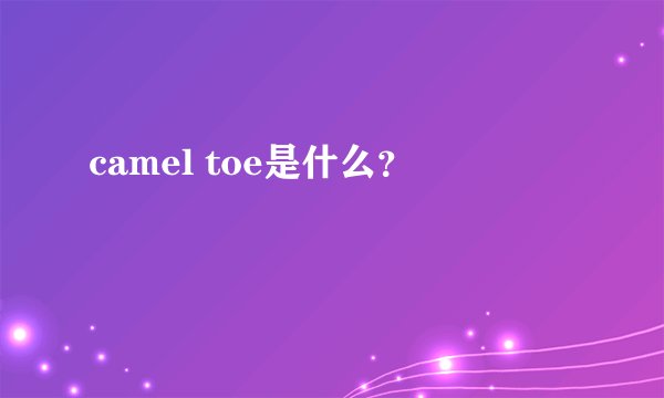 camel toe是什么？
