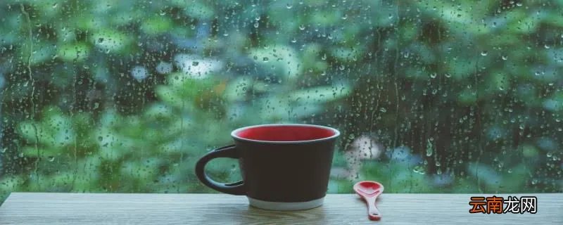 为什么下雨天睡得更香下雨天睡得更香的原因有哪些