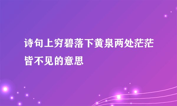 诗句上穷碧落下黄泉两处茫茫皆不见的意思