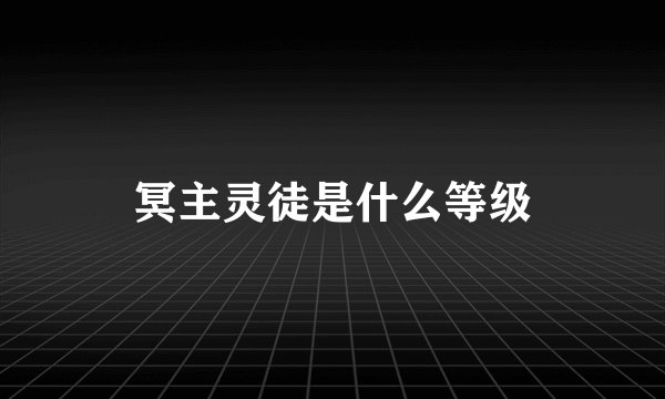 冥主灵徒是什么等级