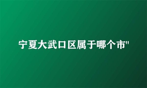 宁夏大武口区属于哪个市