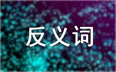 称赞的反义词是什么啊