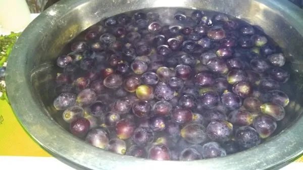 葡萄酒的制作方法 自酿
