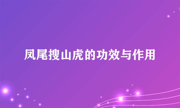 凤尾搜山虎的功效与作用