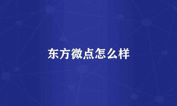 东方微点怎么样