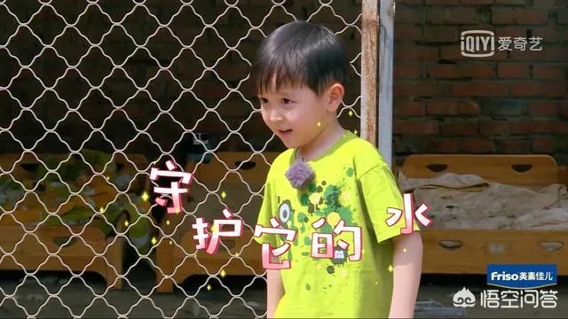 邓莎家的大麟子你们喜欢吗?
