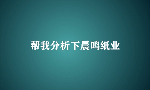 帮我分析下晨鸣纸业