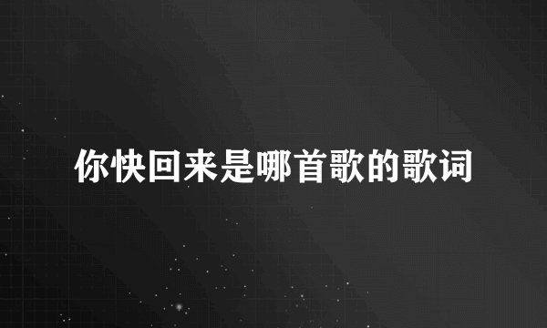你快回来是哪首歌的歌词