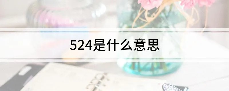 524是什么意思