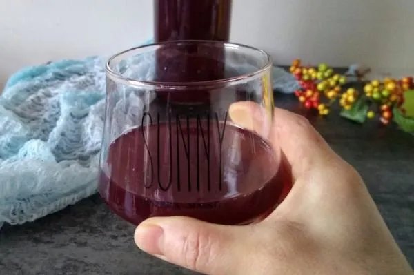 葡萄酒的制作方法 自酿