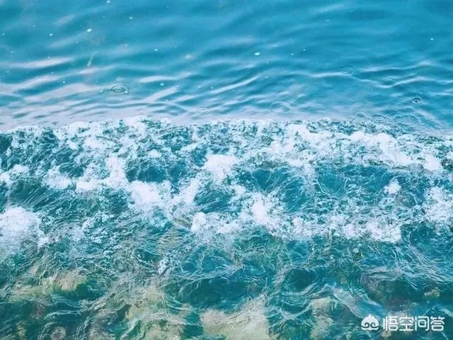 威海比日照如何,哪个更好玩?