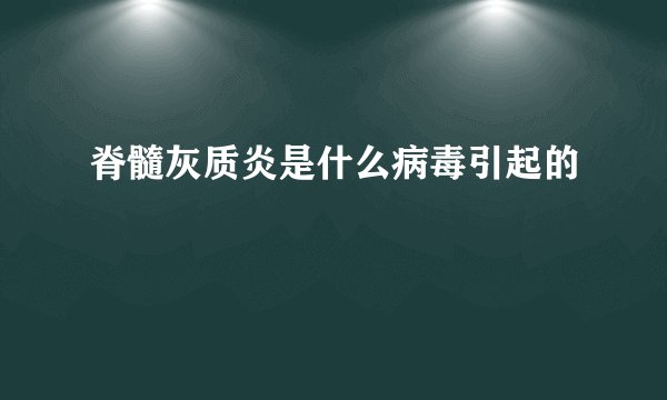 脊髓灰质炎是什么病毒引起的