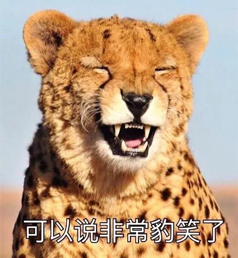 史上最皮的皮肤!哞利斯塔敲钟太贱啦