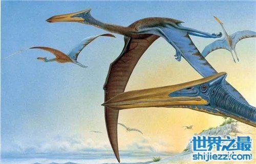 虾蟆螈以吃恐龙生存 已灭绝的史前恐怖生物