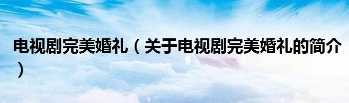 电视剧完美婚礼（关于电视剧完美婚礼的简介）