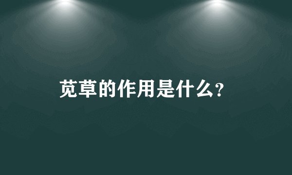 苋草的作用是什么？