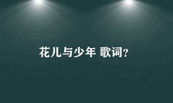 花儿与少年 歌词？