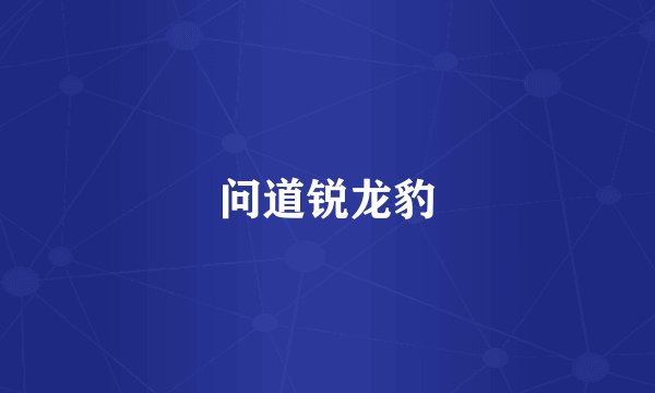 问道锐龙豹