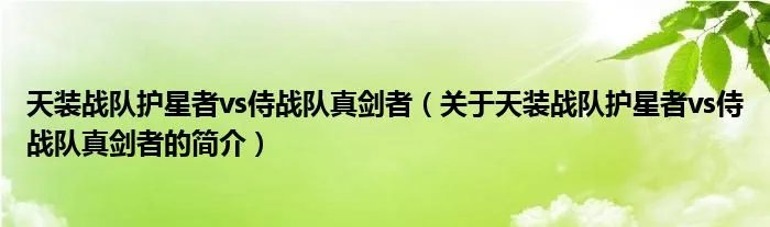 天装战队护星者vs侍战队真剑者（关于天装战队护星者vs侍战队真剑者的简介）